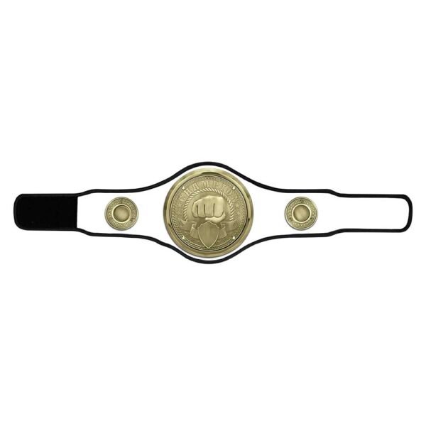 Champion Belt Multisport Award
