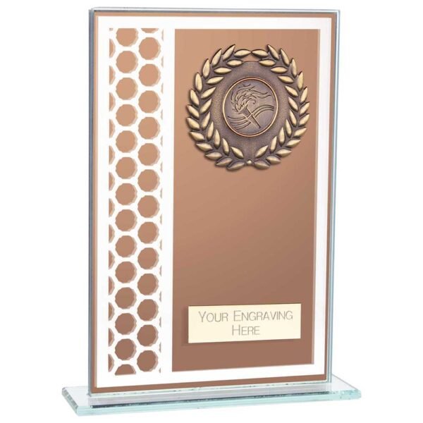 Titanium Multisport Glass Award Bronze