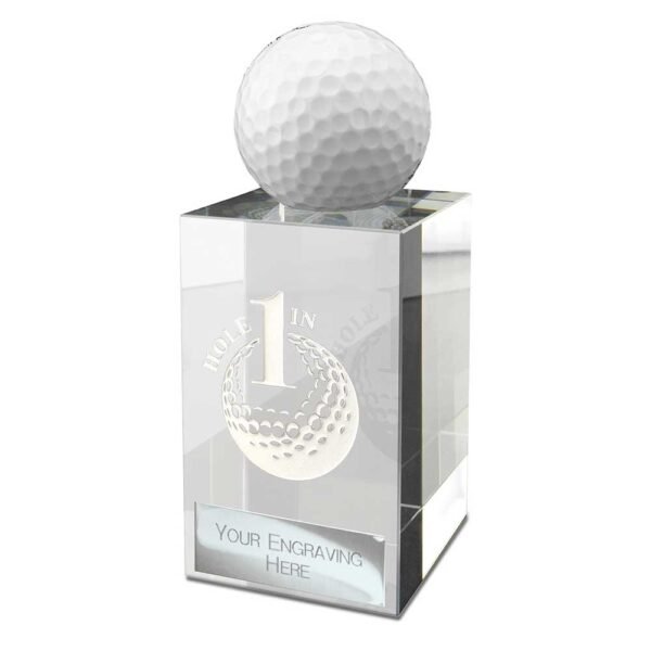 Hole in One Golf Ball Holder