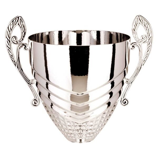 Endurance Cup Silver