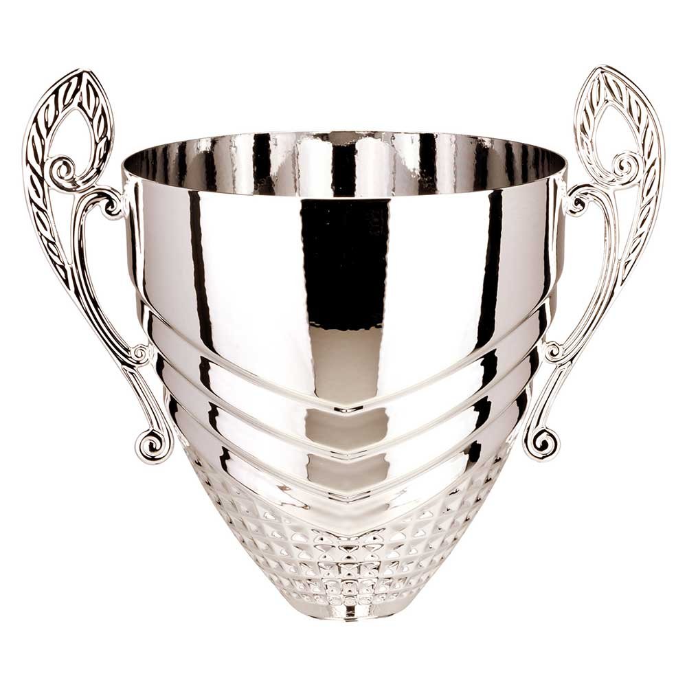 K25257A.jpg Endurance Cup Silver - Image 1