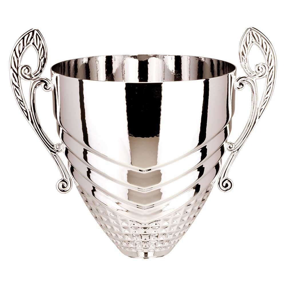 K25257B.jpg Endurance Cup Silver - Image 1