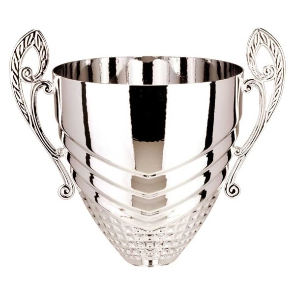 Endurance Cup Silver