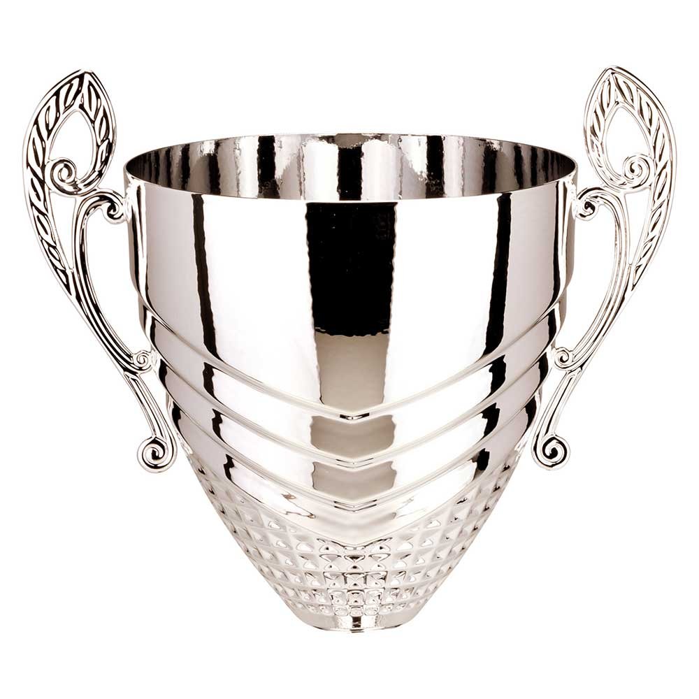 K25257C.jpg Endurance Cup Silver - Image 1