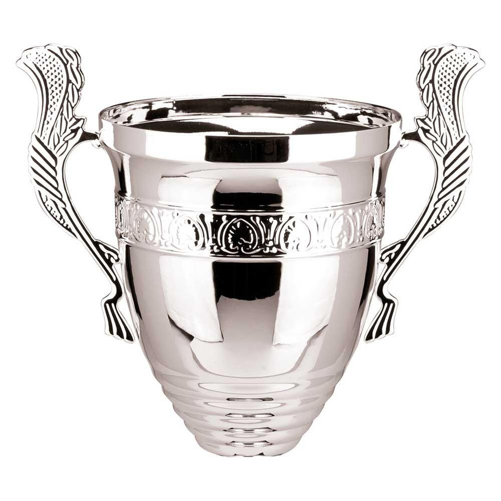 K25258A.jpg Endeavour Cup Silver - Image 1