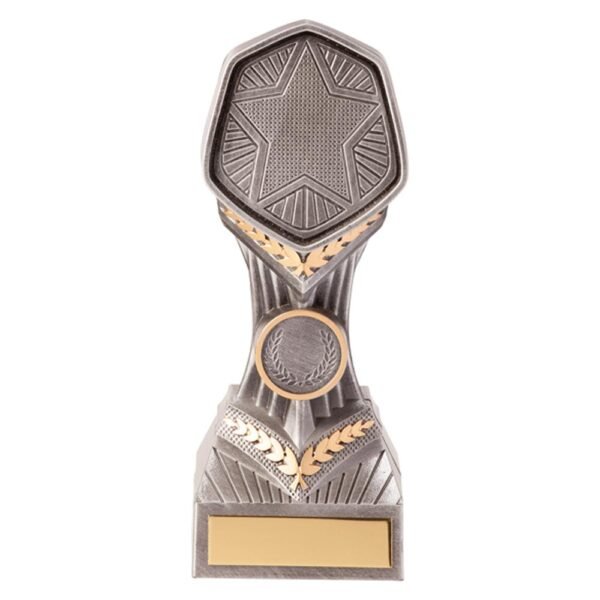 Falcon Multisport Award