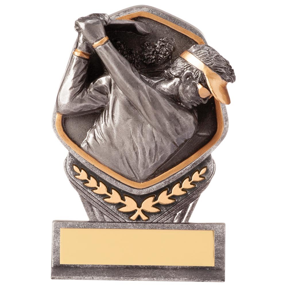 PA20039A.jpg Falcon Golf Male Award - Image 1