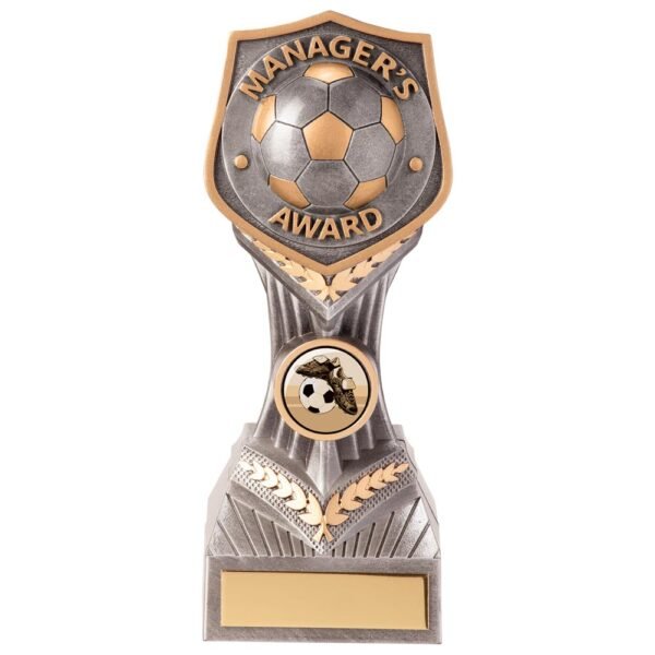 Falcon Football Manager's Award