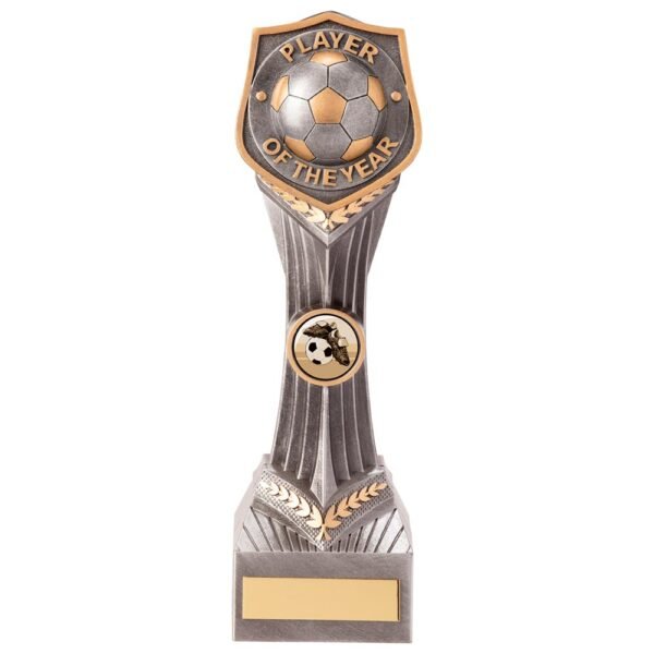 Falcon Football Player of the Year Award