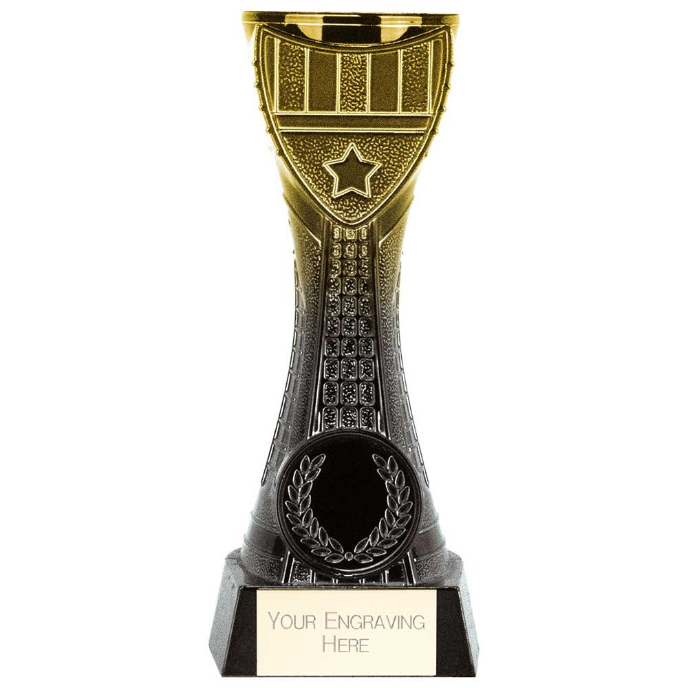 PA24067A.jpg Fusion Viper Heavyweight Award - Image 1