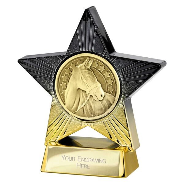 Superstar Equestrian Award
