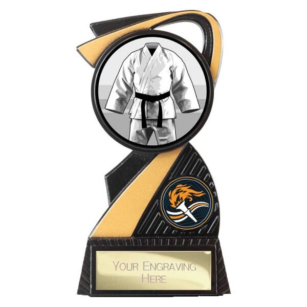 Mania Tower Martial Arts Award