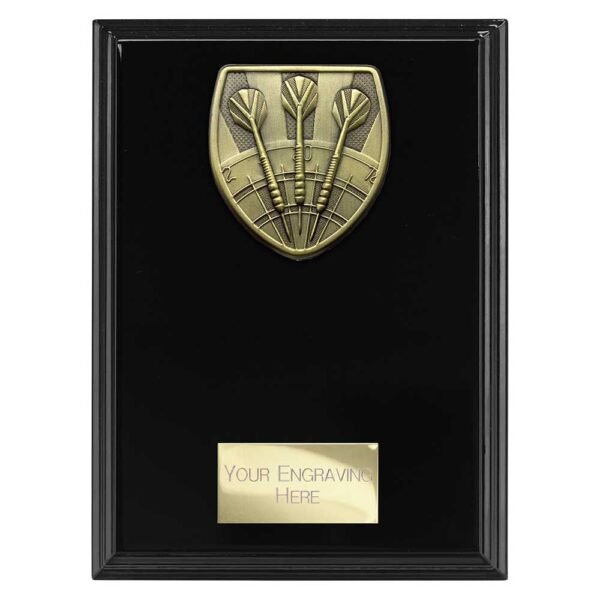 Cobra Plaque Darts Award