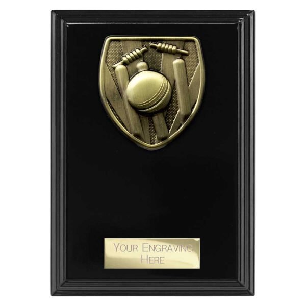 Cobra Plaque Cricket Award
