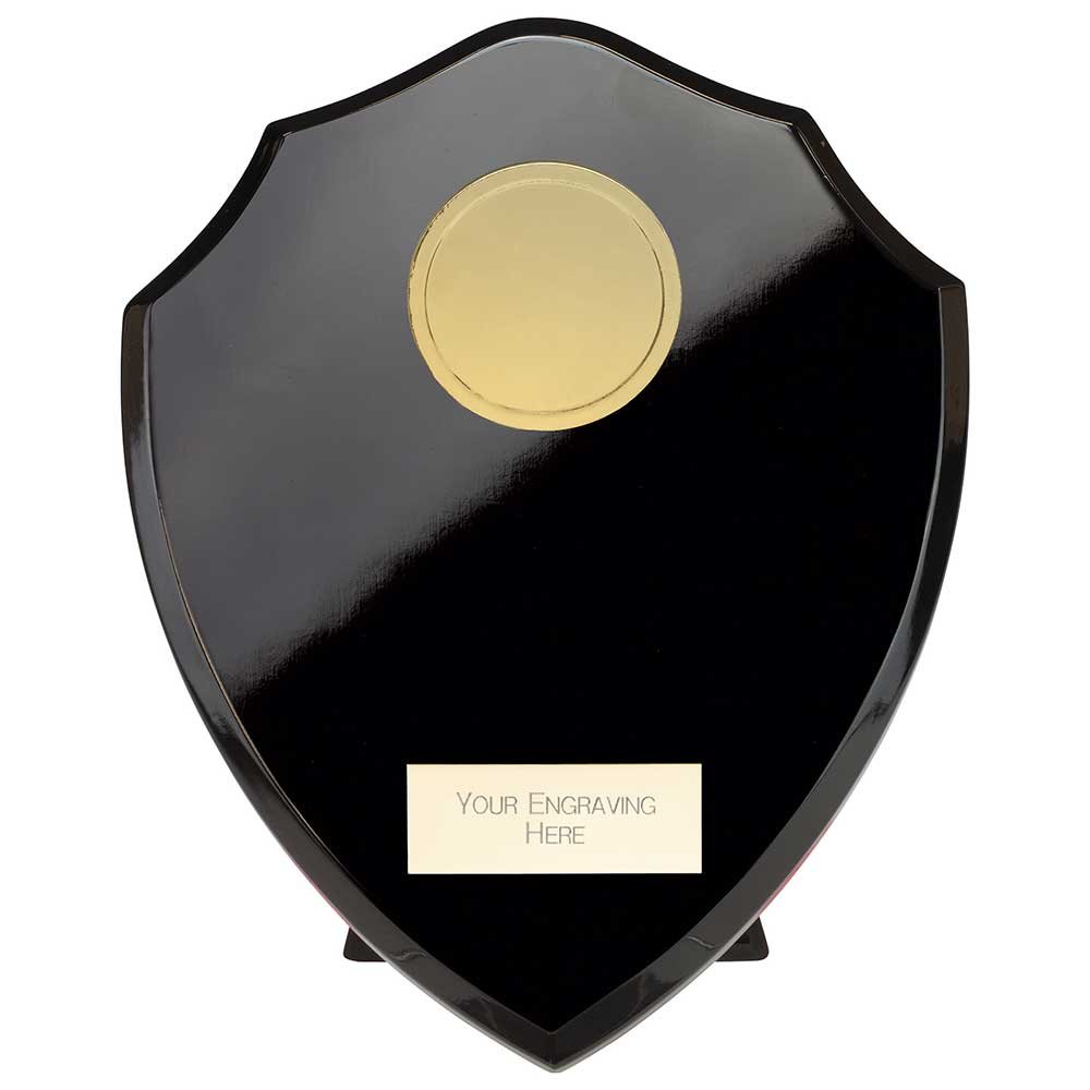 PL24573D.jpg Reward Matrix Shield Epic Black - Image 1