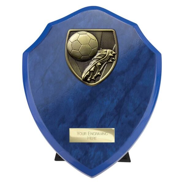 Cobra Shield Football Boot & Ball Award