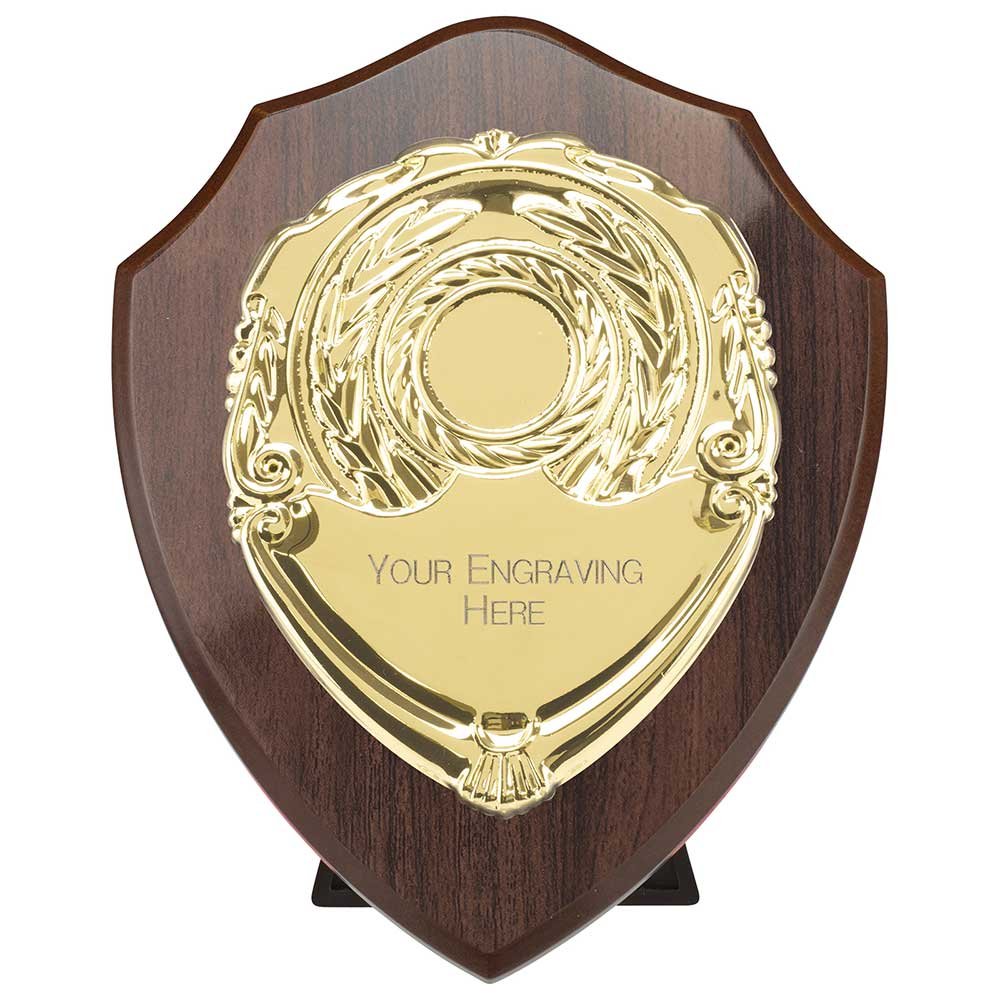 PS24561D.jpg Reward Shield & Front - Image 1