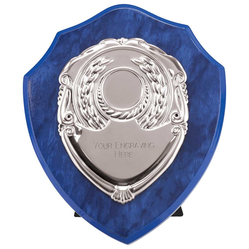PS24563C.jpg Reward Shield & Front - Image 1