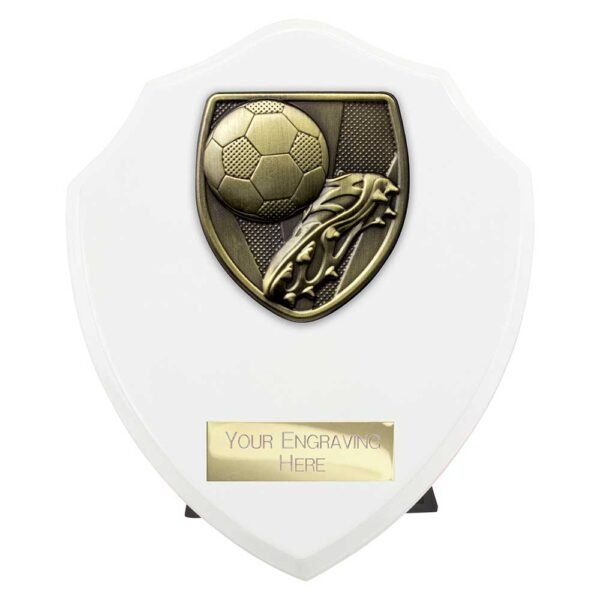 Cobra Shield Football Boot & Ball Award