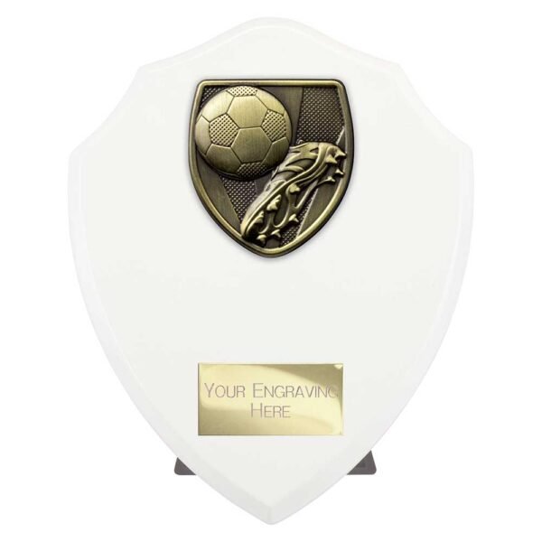 Cobra Shield Football Boot & Ball Award