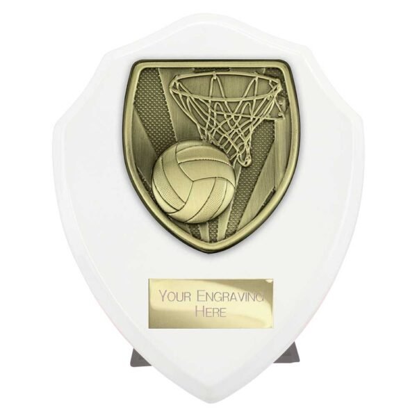 Cobra Shield Netball Award