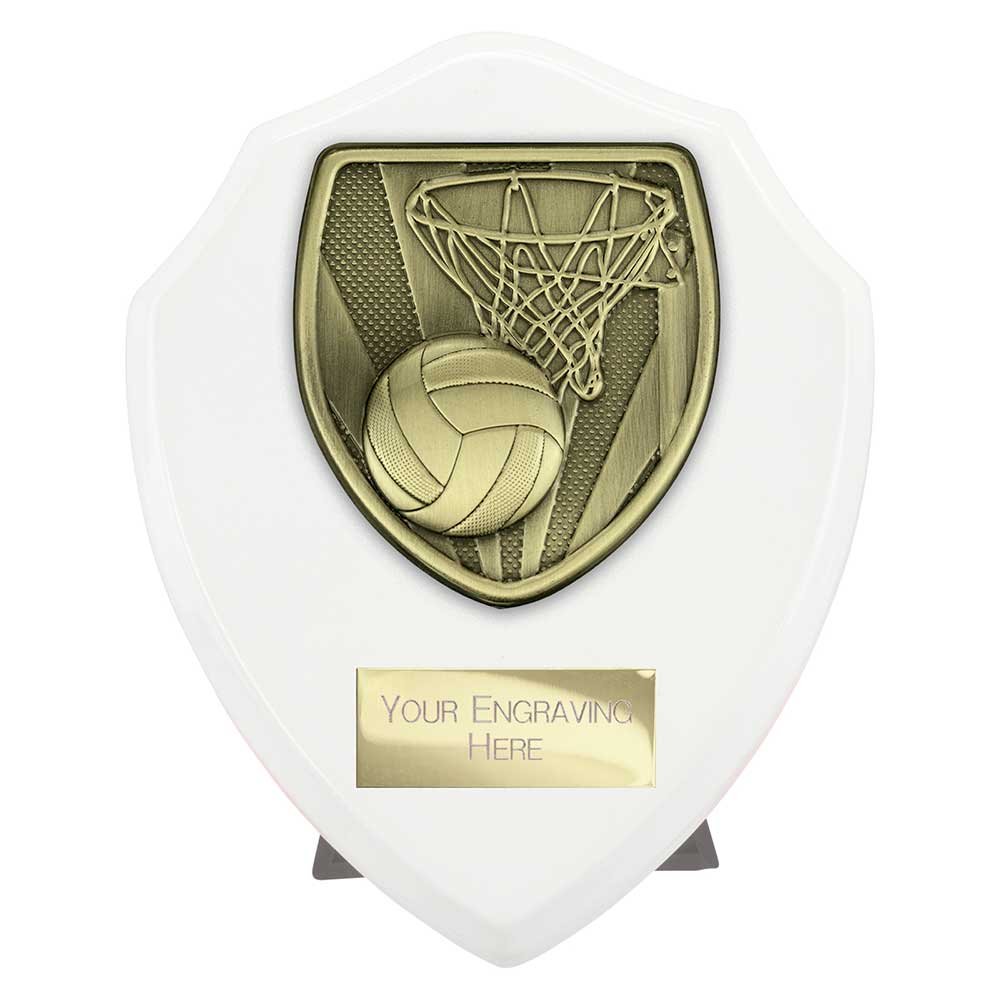 PT25137B.jpg Cobra Shield Netball Award - Image 1