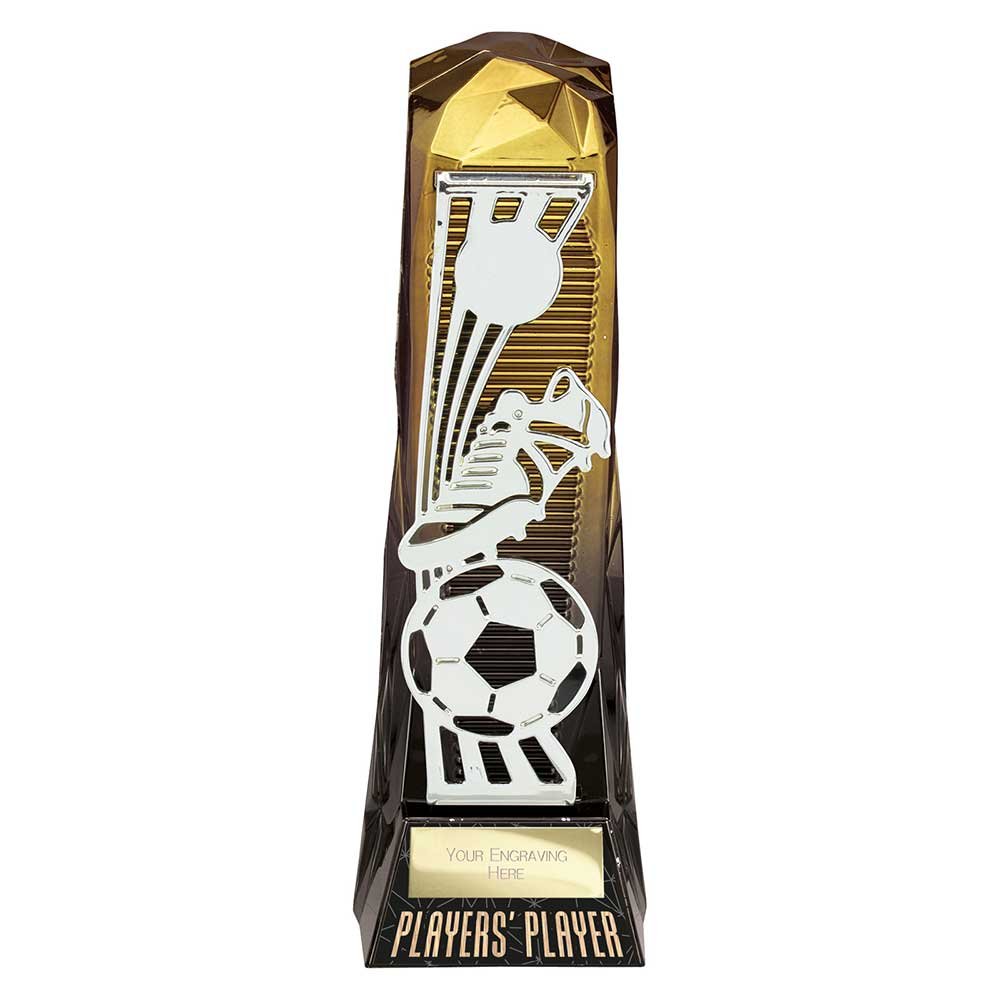 PX23128A.jpg Shard Football Players Player Award - Image 1