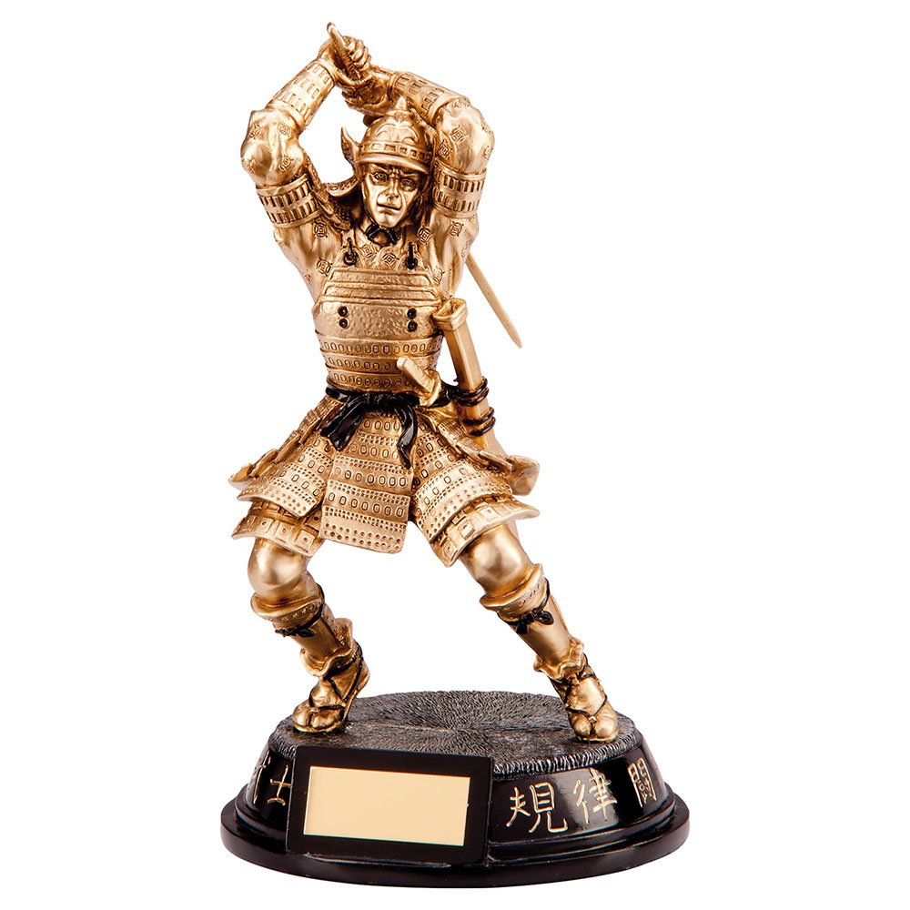 RF1124A.jpg Ultimate Samurai Warrior Award - Image 1