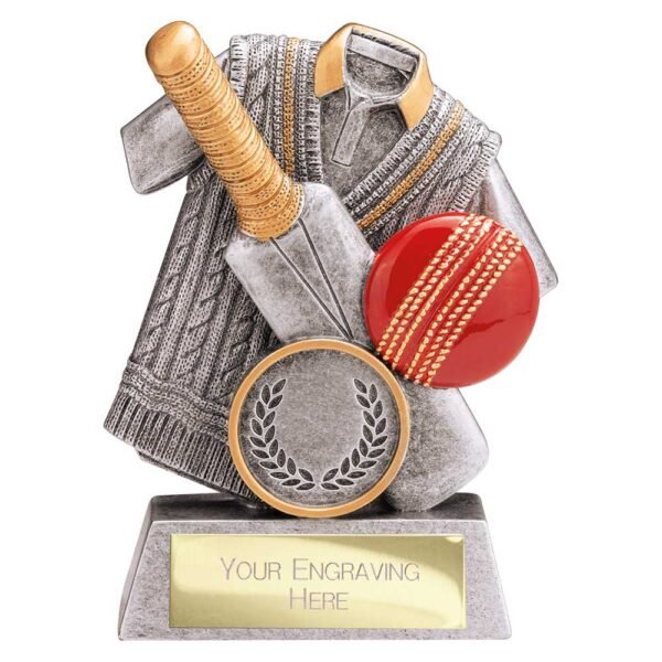 Spirit Cricket Resin Award
