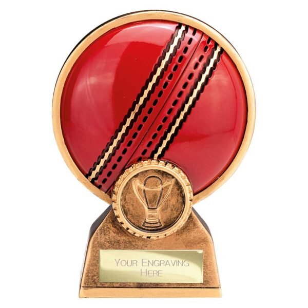 Zenith Cricket Ball Resin Award