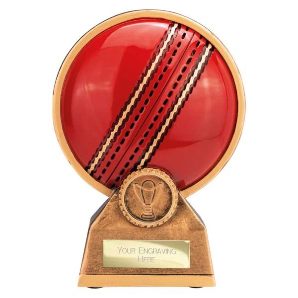 Zenith Cricket Ball Resin Award