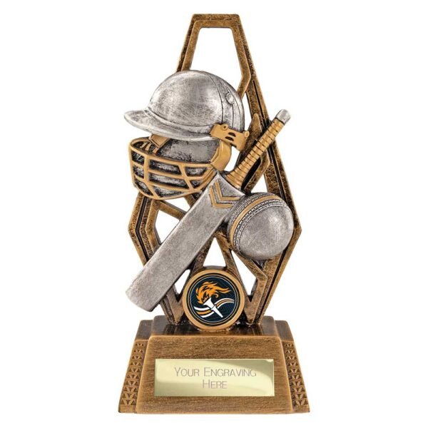 Immense Cricket Award