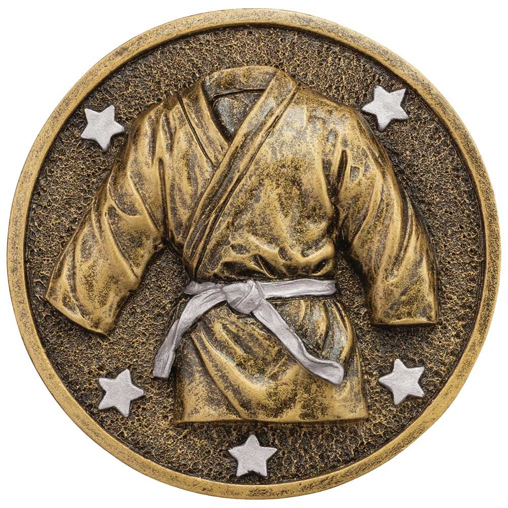 RT24232A.jpg Ikon Martial Arts Insert - Image 1