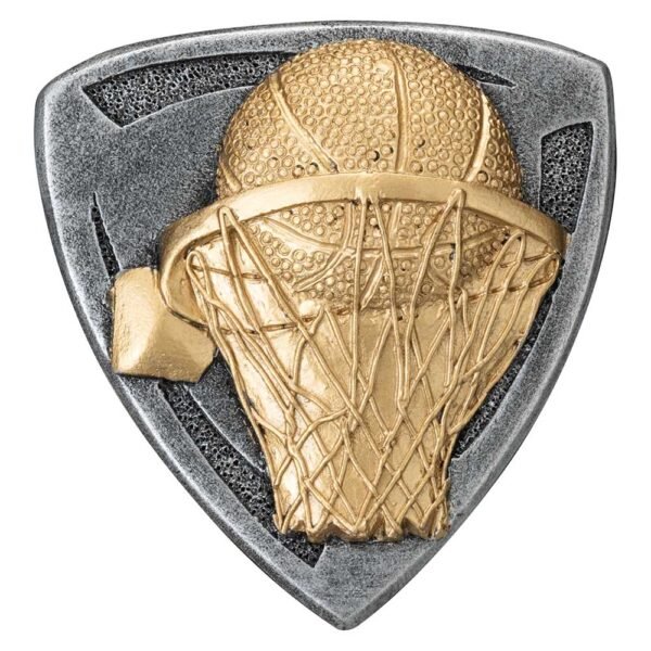 Wolverine Basketball Insert