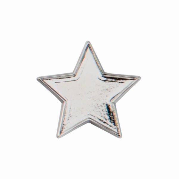 Scholar Pin Badge Star