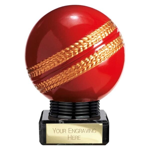Valiant Legend Cricket Award