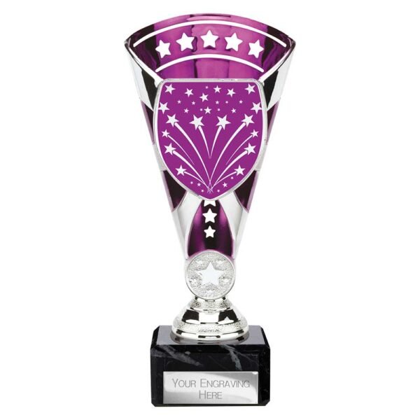 Cobra Star Multisport Cup Silver & Purpl
