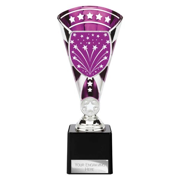 Cobra Star Multisport Cup Silver & Purpl