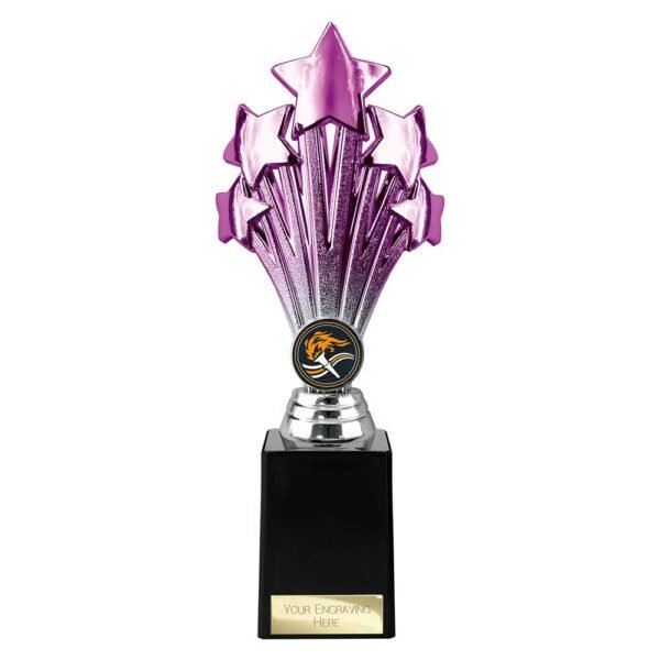 5 Star Trophy Purple and Silver